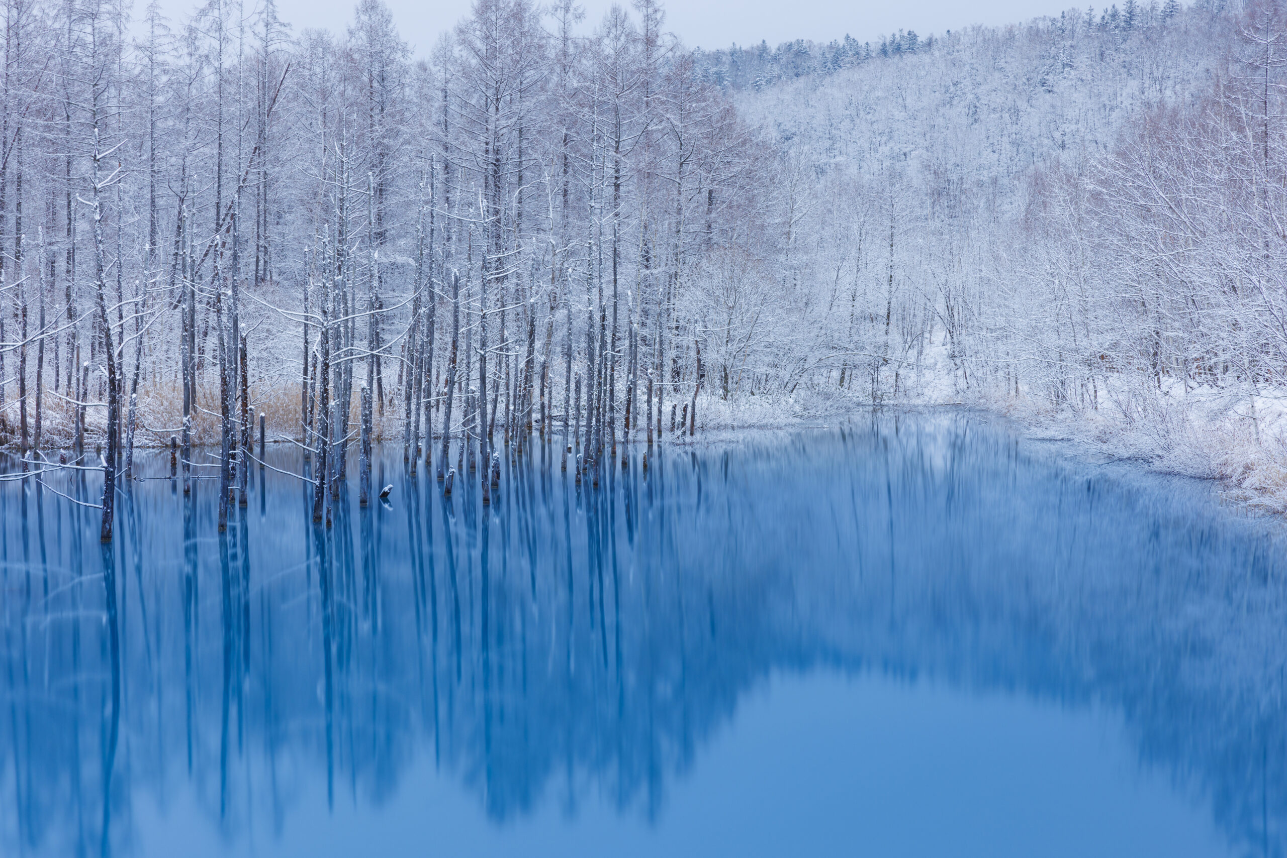 早朝の青い池